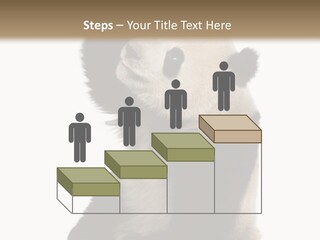 Black Cuddly Seeking PowerPoint Template