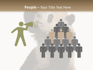 Black Cuddly Seeking PowerPoint Template