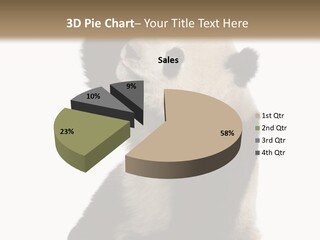 Black Cuddly Seeking PowerPoint Template