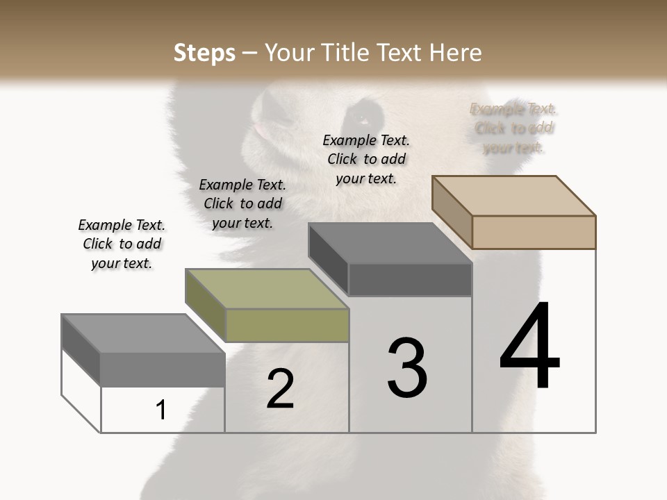 Black Cuddly Seeking PowerPoint Template