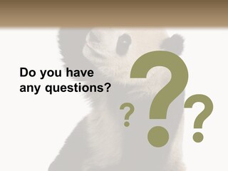 Black Cuddly Seeking PowerPoint Template