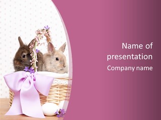 Karnickel Campanula Ostern PowerPoint Template