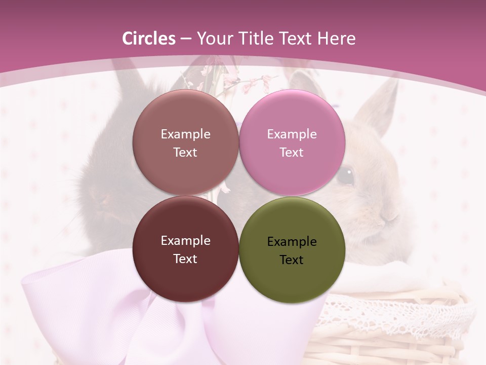 Karnickel Campanula Ostern PowerPoint Template