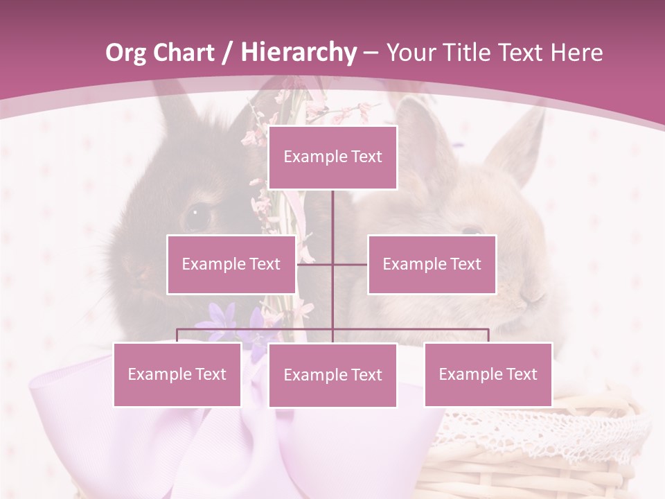 Karnickel Campanula Ostern PowerPoint Template