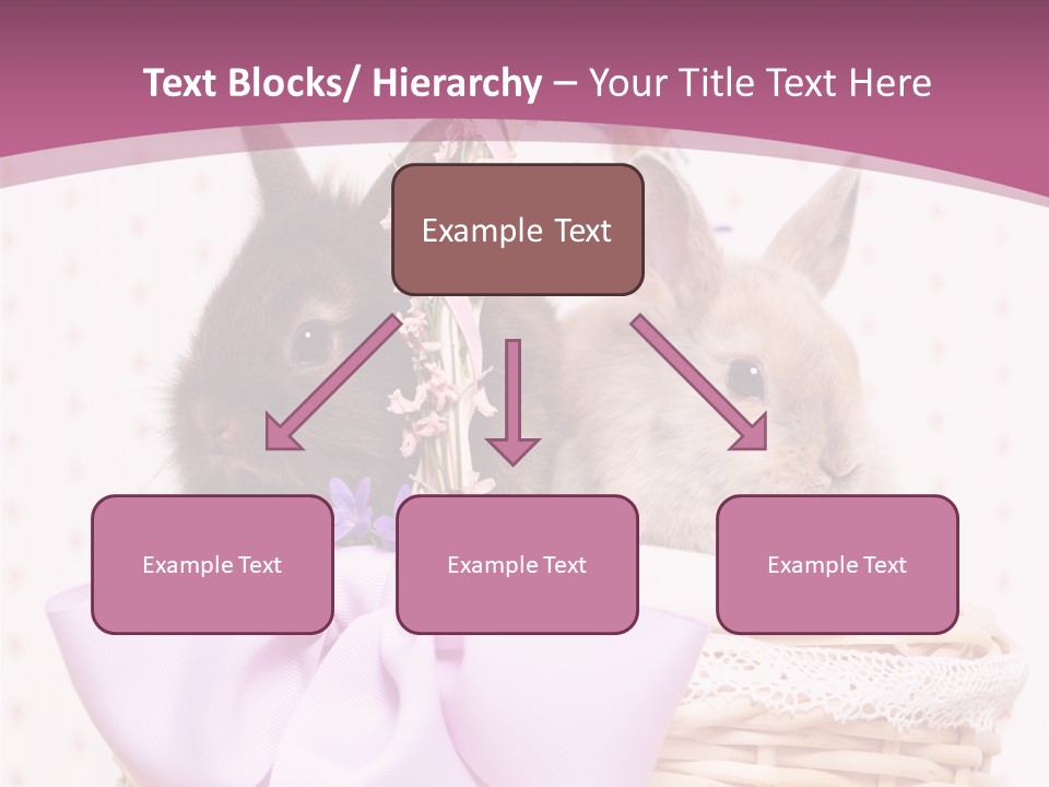 Karnickel Campanula Ostern PowerPoint Template