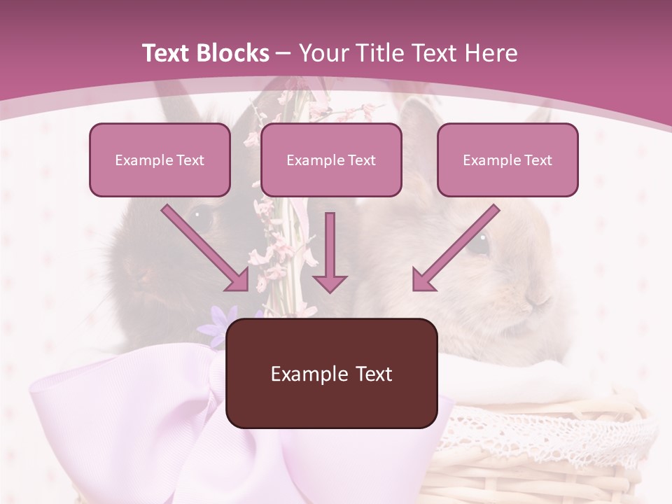 Karnickel Campanula Ostern PowerPoint Template