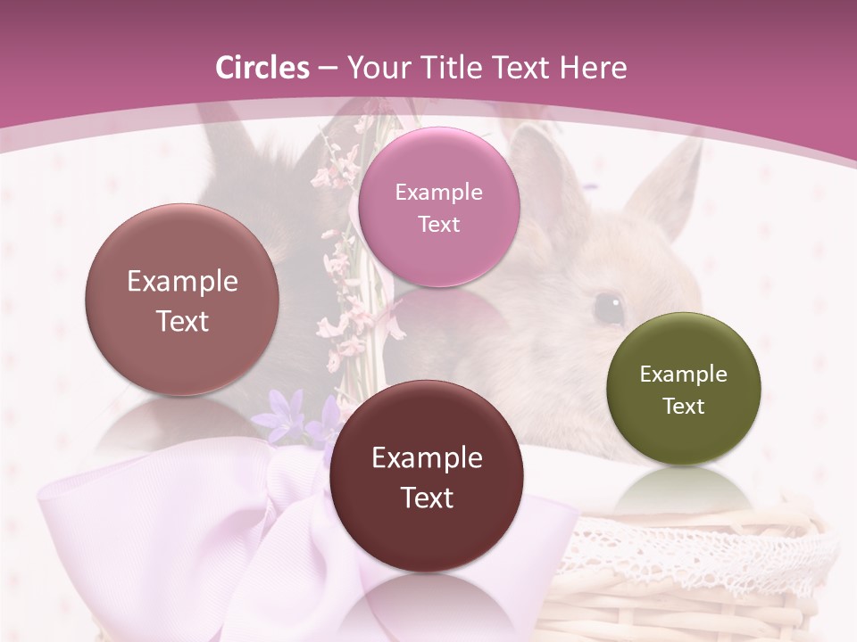 Karnickel Campanula Ostern PowerPoint Template