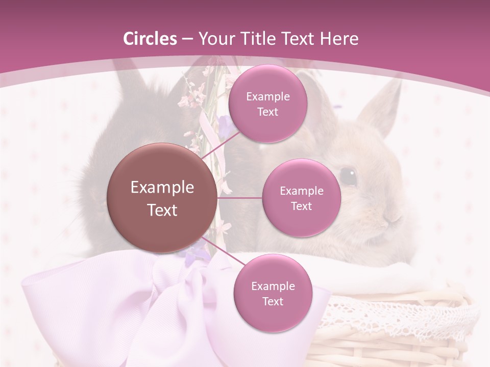 Karnickel Campanula Ostern PowerPoint Template