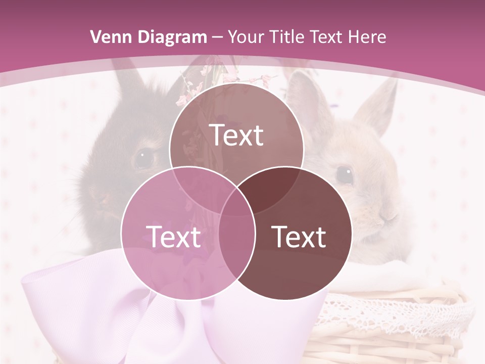 Karnickel Campanula Ostern PowerPoint Template