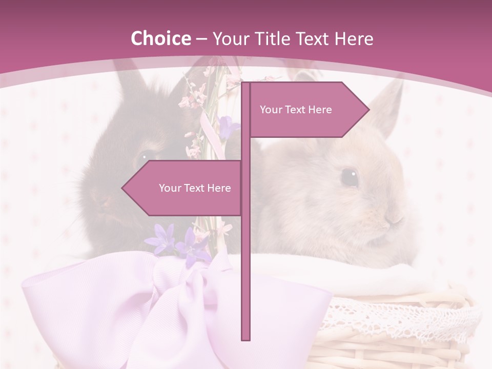 Karnickel Campanula Ostern PowerPoint Template