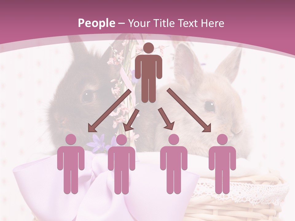 Karnickel Campanula Ostern PowerPoint Template