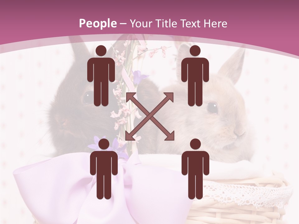 Karnickel Campanula Ostern PowerPoint Template