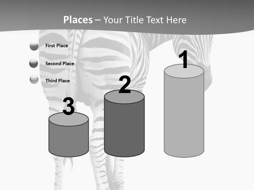 Burchell White Animal PowerPoint Template