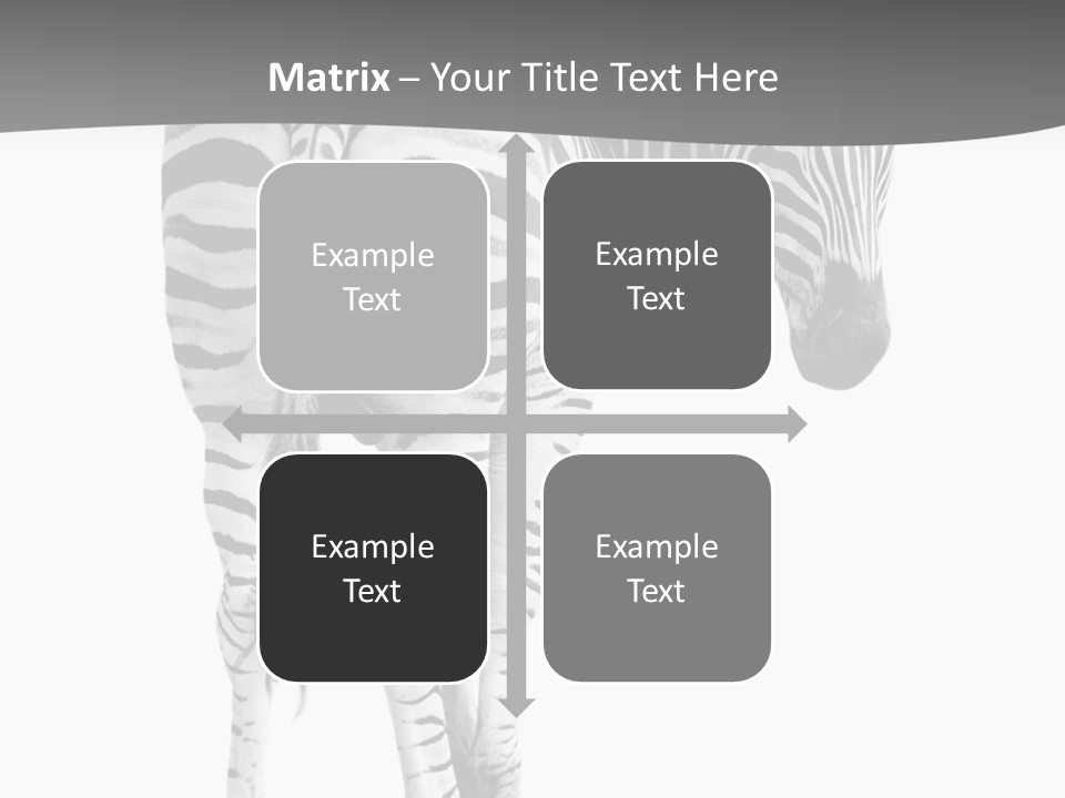 Burchell White Animal PowerPoint Template