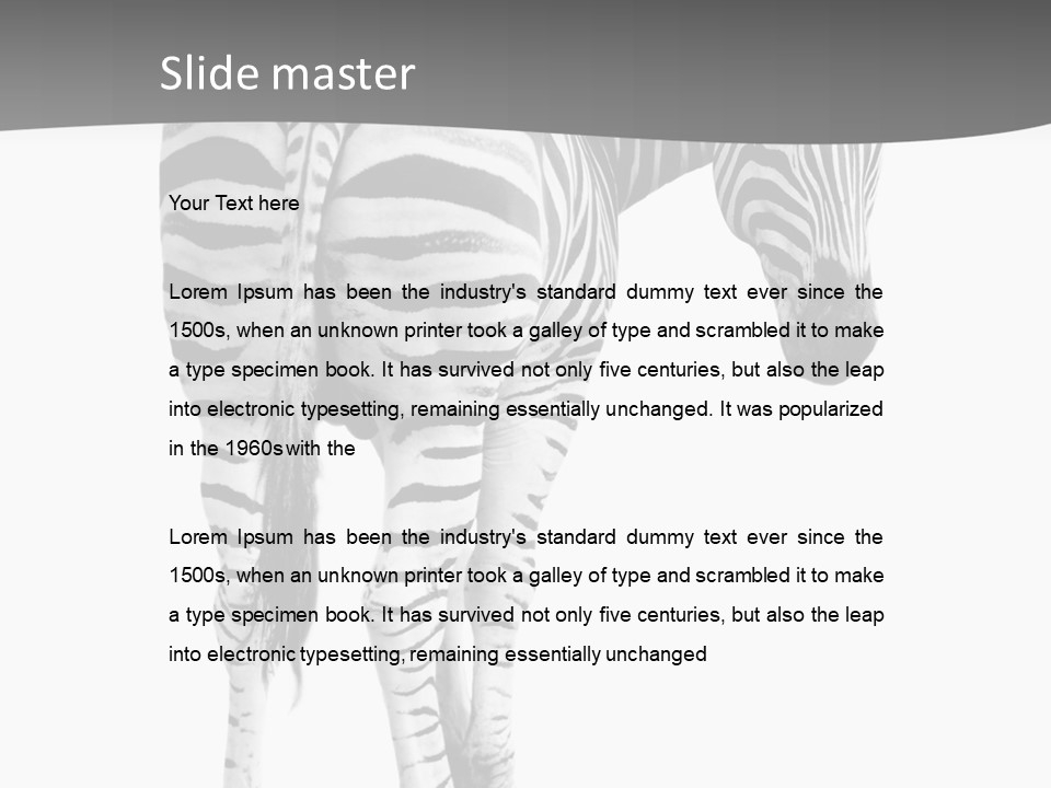 Burchell White Animal PowerPoint Template