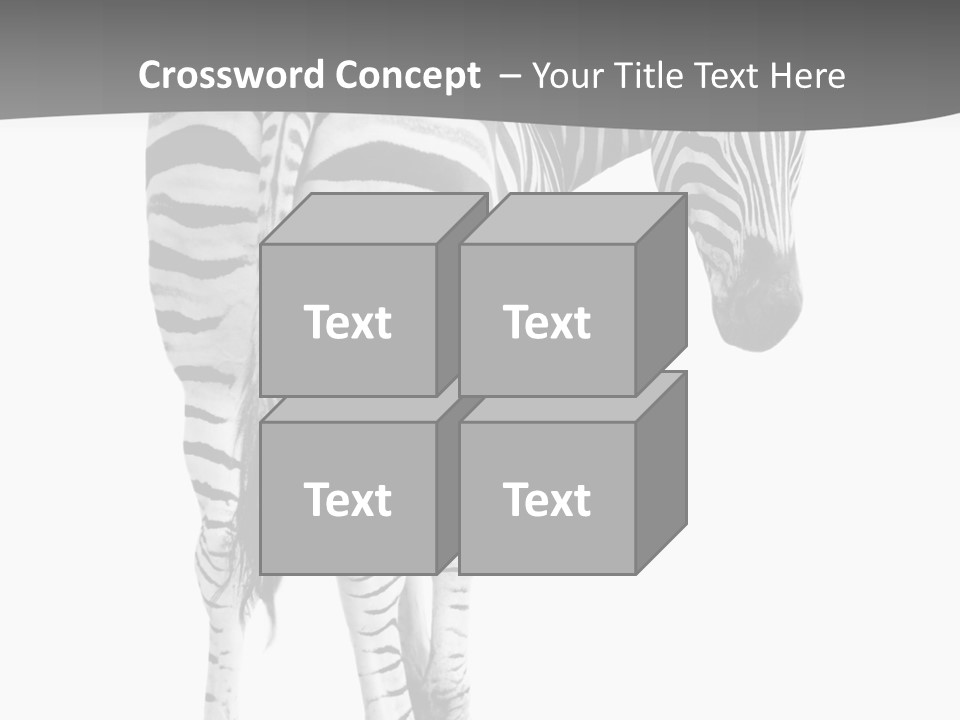 Burchell White Animal PowerPoint Template