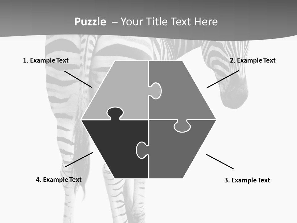 Burchell White Animal PowerPoint Template