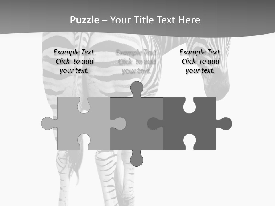 Burchell White Animal PowerPoint Template