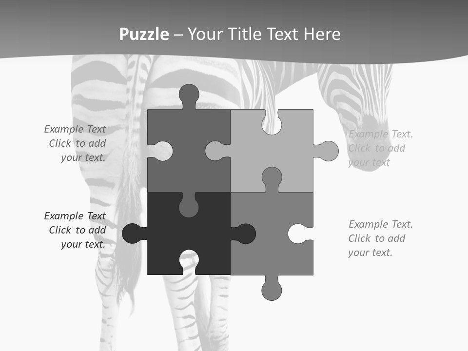 Burchell White Animal PowerPoint Template