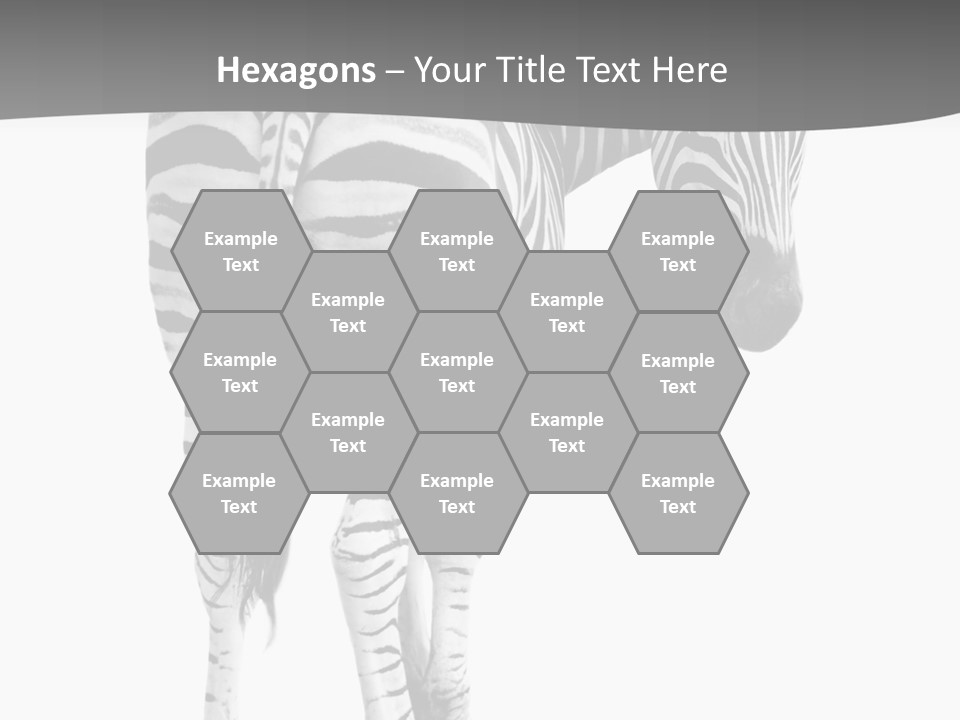 Burchell White Animal PowerPoint Template