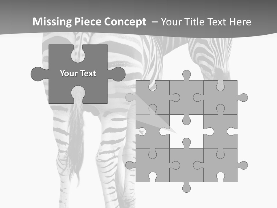 Burchell White Animal PowerPoint Template