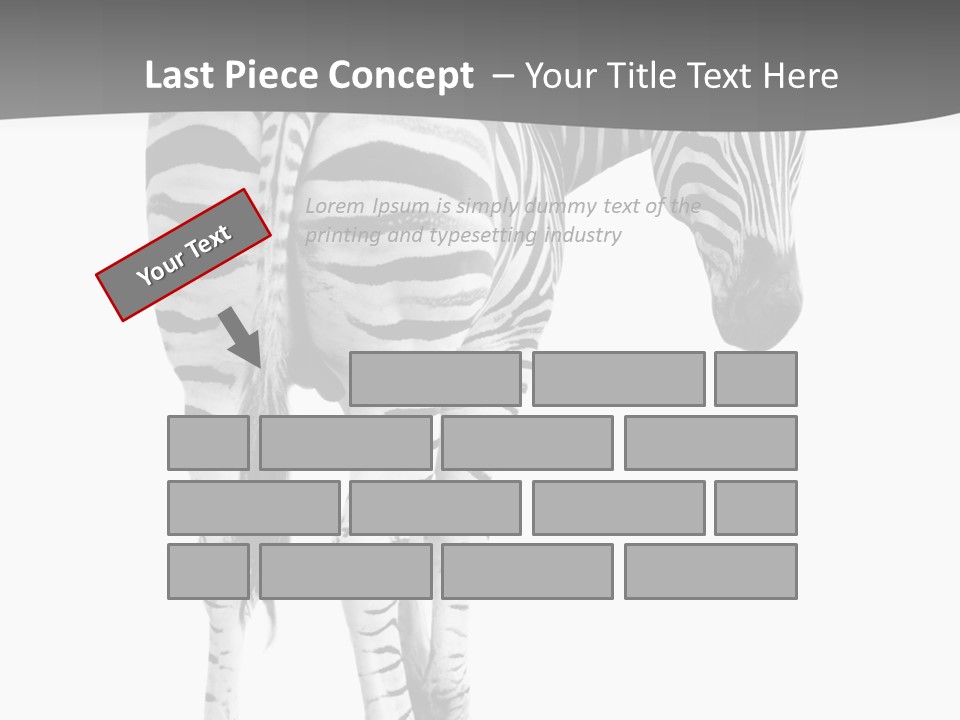 Burchell White Animal PowerPoint Template