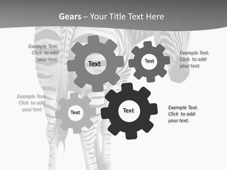 Burchell White Animal PowerPoint Template