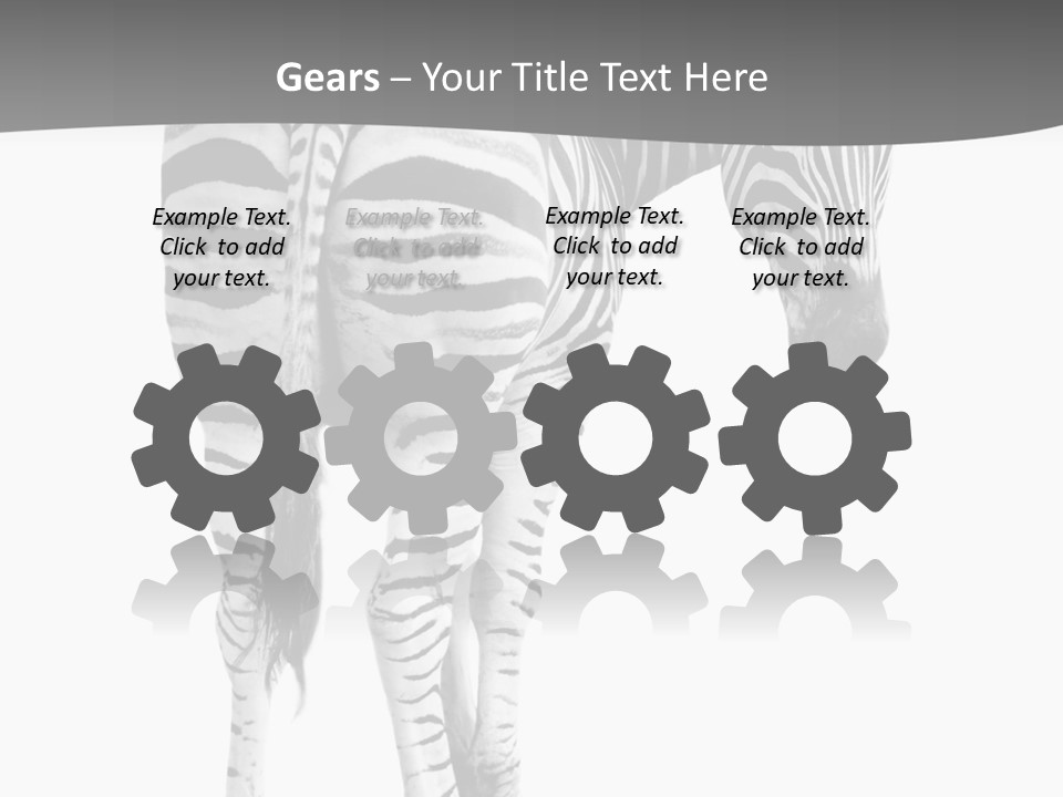 Burchell White Animal PowerPoint Template