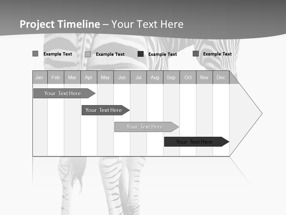 Burchell White Animal PowerPoint Template