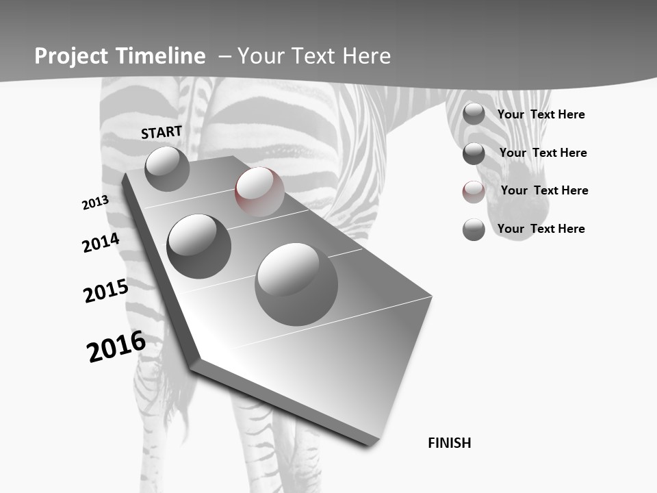 Burchell White Animal PowerPoint Template