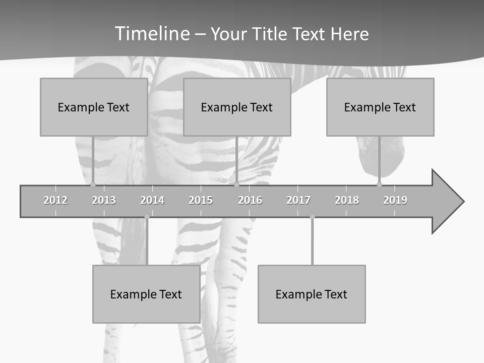 Burchell White Animal PowerPoint Template