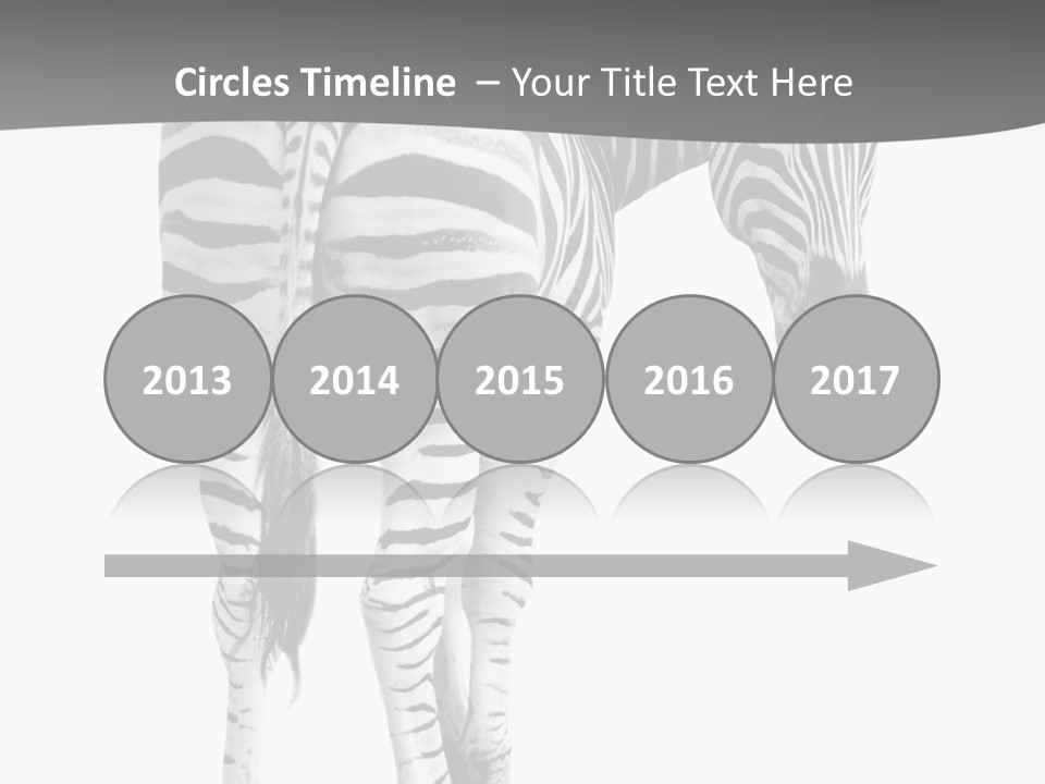 Burchell White Animal PowerPoint Template