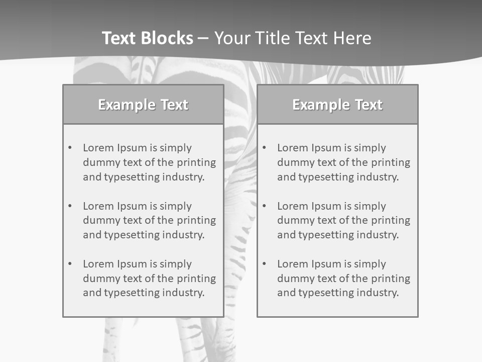 Burchell White Animal PowerPoint Template