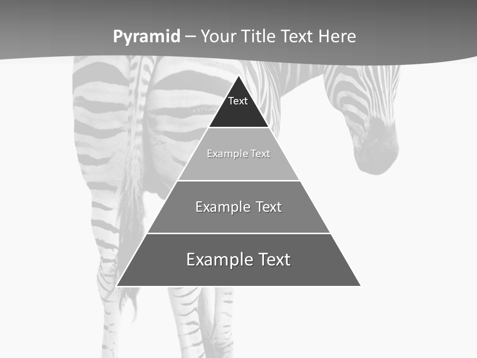 Burchell White Animal PowerPoint Template