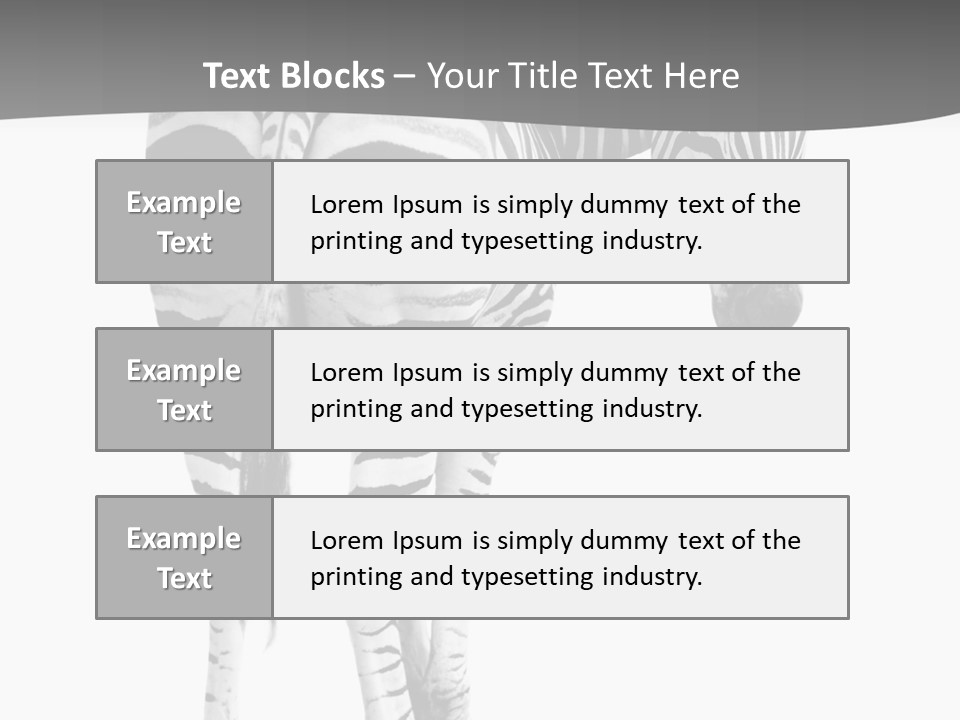 Burchell White Animal PowerPoint Template