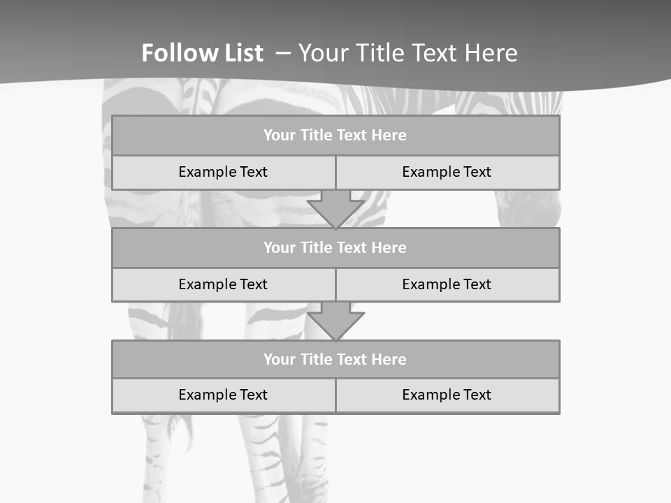 Burchell White Animal PowerPoint Template