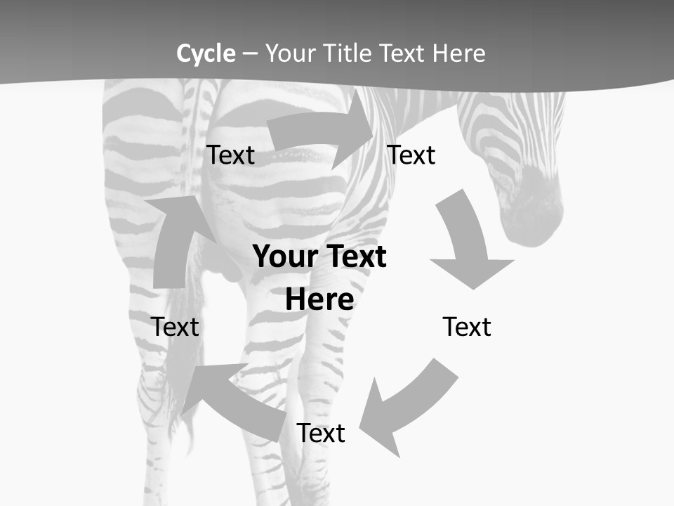 Burchell White Animal PowerPoint Template