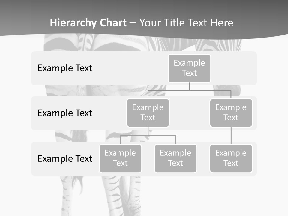 Burchell White Animal PowerPoint Template