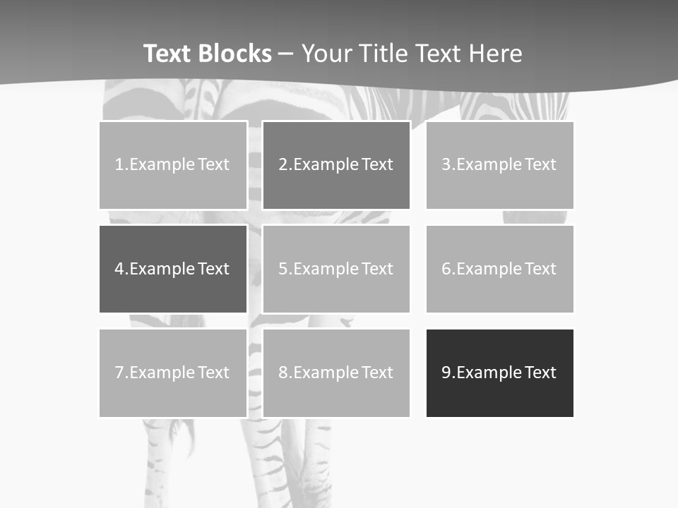 Burchell White Animal PowerPoint Template