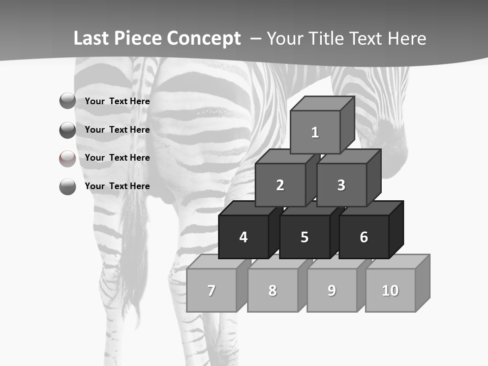 Burchell White Animal PowerPoint Template
