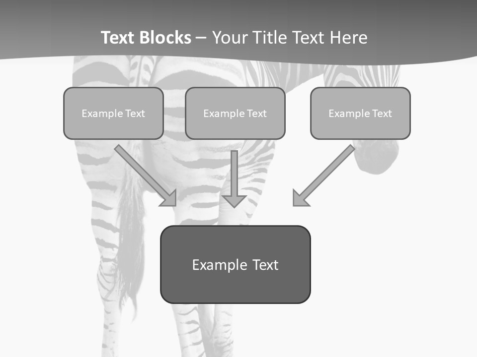 Burchell White Animal PowerPoint Template