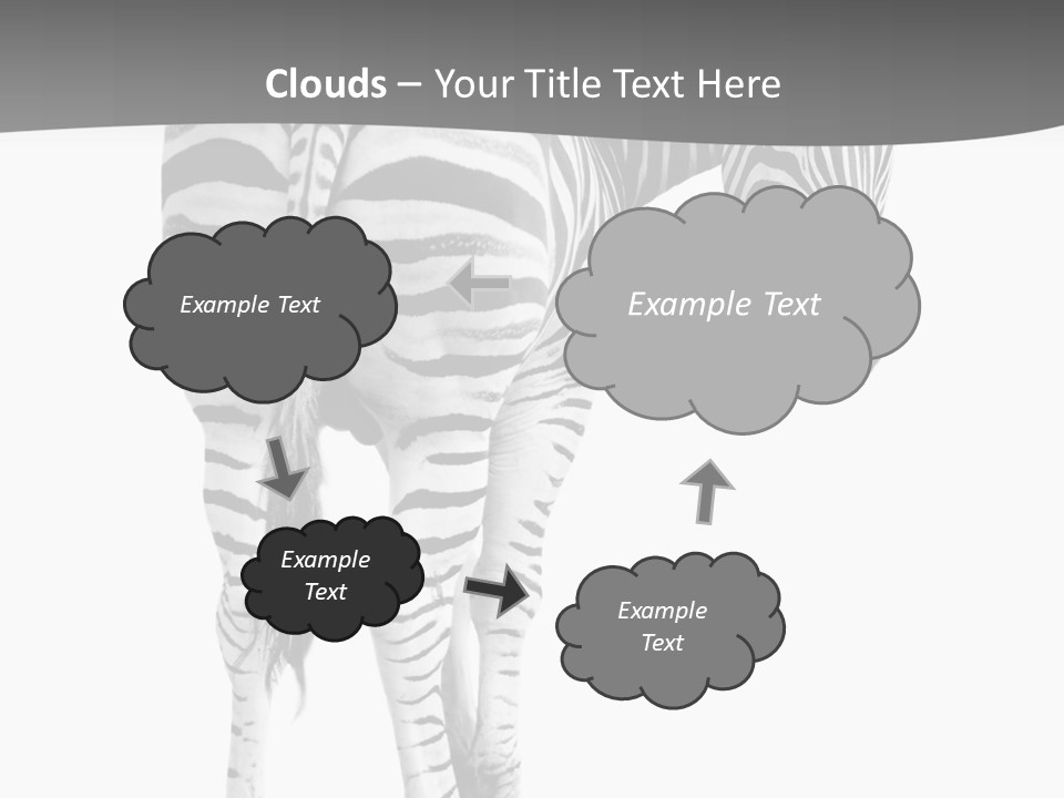 Burchell White Animal PowerPoint Template