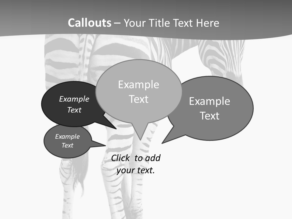 Burchell White Animal PowerPoint Template