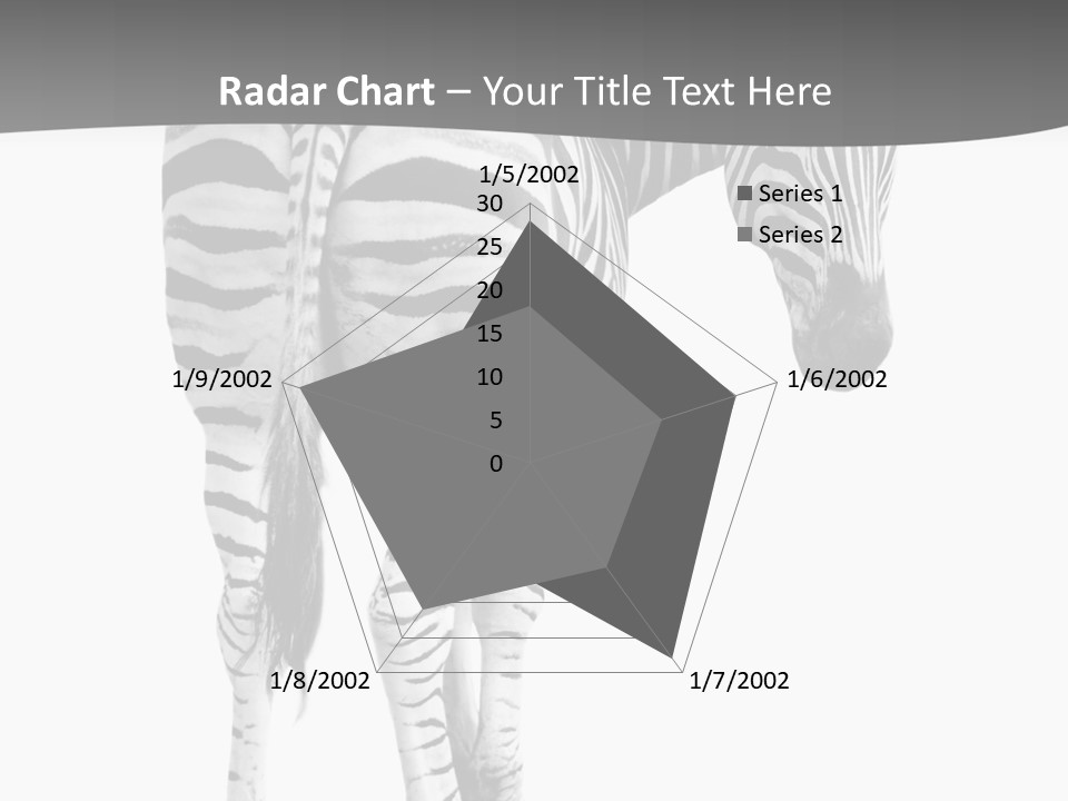 Burchell White Animal PowerPoint Template