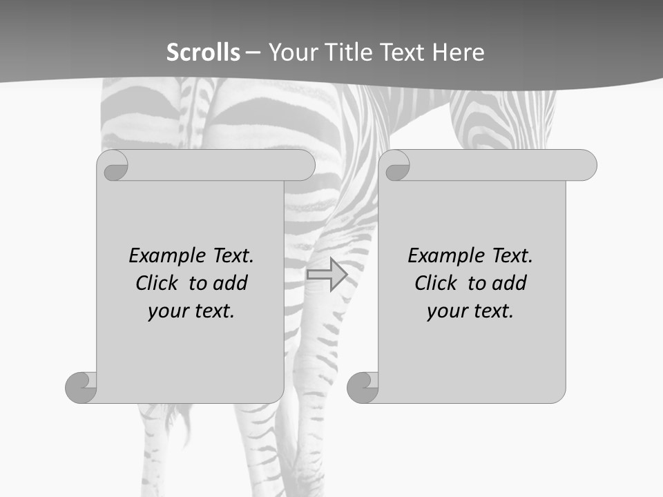 Burchell White Animal PowerPoint Template