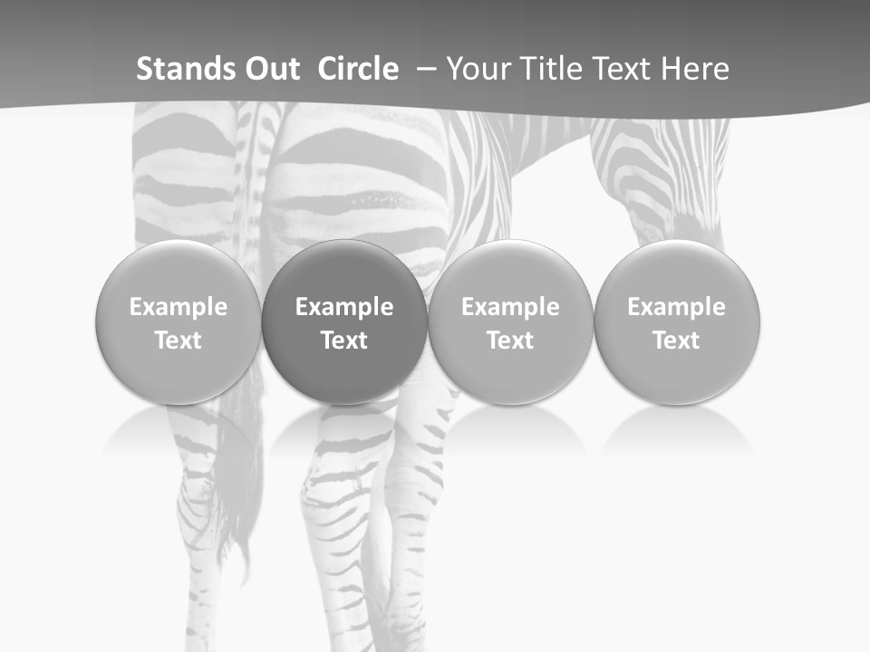 Burchell White Animal PowerPoint Template