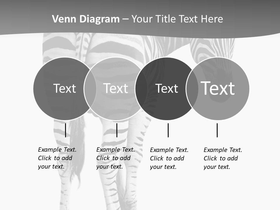 Burchell White Animal PowerPoint Template