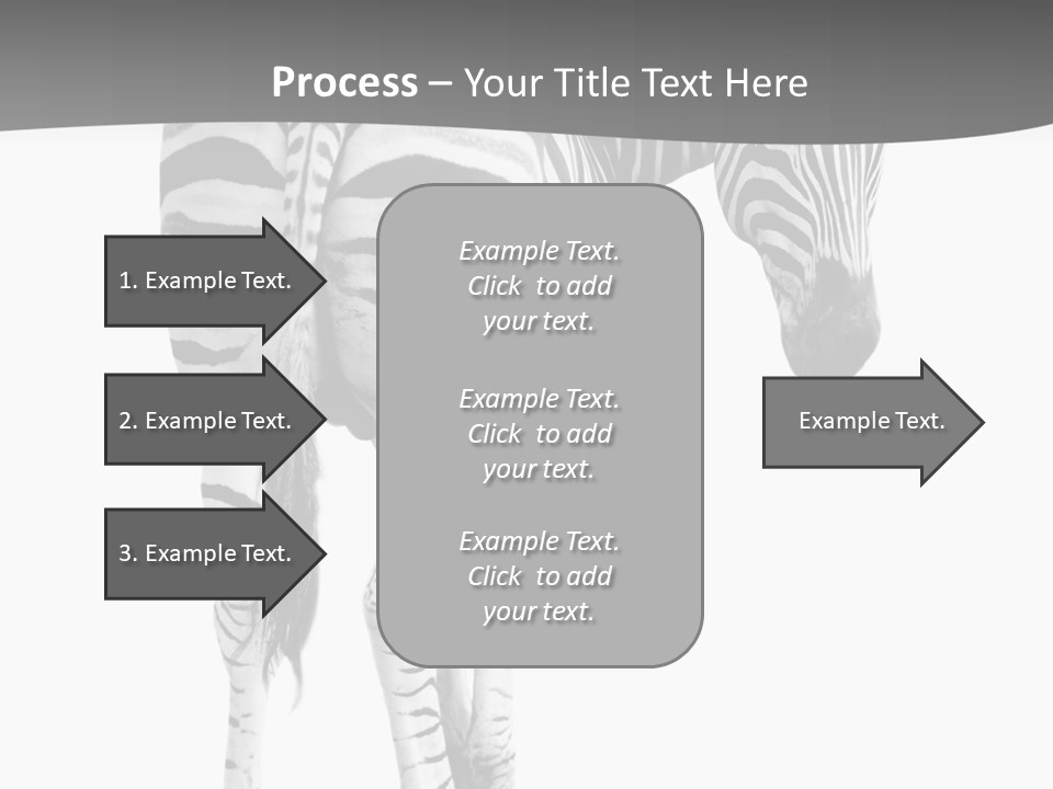 Burchell White Animal PowerPoint Template