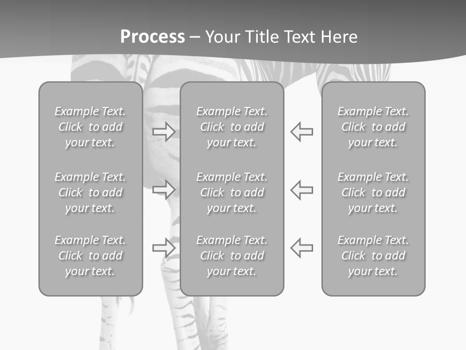 Burchell White Animal PowerPoint Template