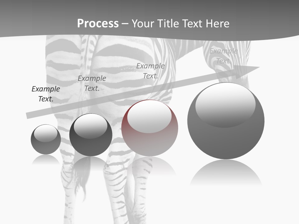 Burchell White Animal PowerPoint Template